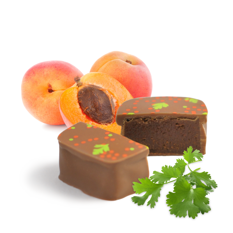 Pott au Chocolat Praline Anschnitt Aprikose Koriander